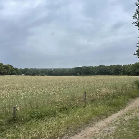 Boshuis Veluwe-2