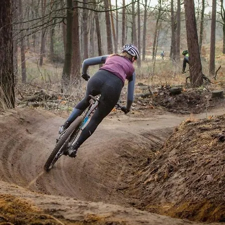 Boshuis Veluwe-3